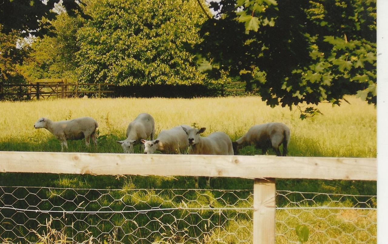 Bank Farm Cottages ナントウィッチ エクステリア 写真